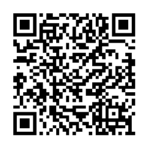 你说……你说宗门究竟是要我们去做什么任务啊二维码生成