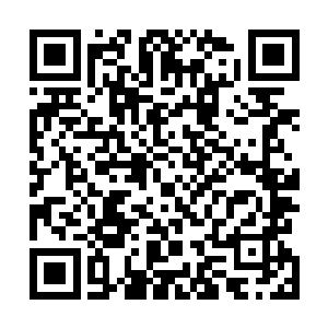 你说二妹妹的温婉贤淑不都是我的刁蛮跋扈衬托出来的吗二维码生成