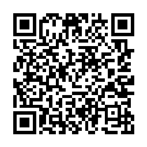 你说二皇子和三皇子知道赵虎要替陛下教育他们二维码生成