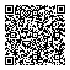 你说你一个在特种部队训练了不知道多少年的人和我们刚来的一个新手打还弄了个险胜你有毛可装b的二维码生成