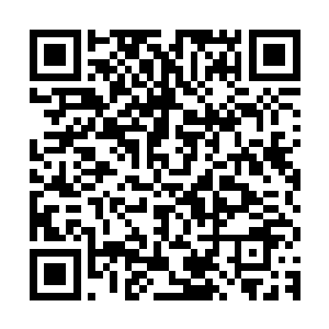 你说你一个老太婆和小女娃跟游戏中的老大对着干成什么事儿嘛二维码生成