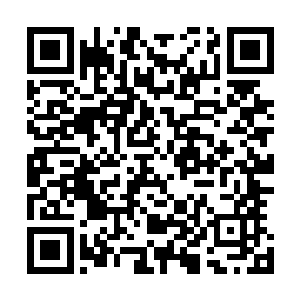 你说你的蓝色梦幻要由我公司全权代理进行全面的包装销售二维码生成