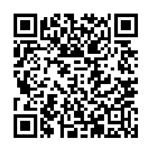 你说你能不多寻思寻思嘛~谁还不能有个灰姑娘的梦啊二维码生成