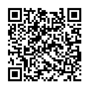 你说凤凰之城内应该会有对于圣级大修士的机缘吧二维码生成