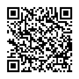 你说如果那些人能够想办法摆脱李家的印记一次二维码生成
