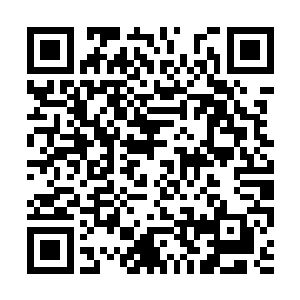 你说我是不是要做点什么事情报答一下我的师傅啊二维码生成