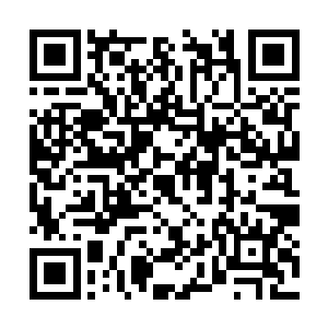 你说昨天的那些结丹期大修士会不会也参加拍卖会二维码生成