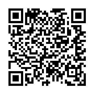 你说每次神魔战场开启的时候几乎无人能够进入第九层二维码生成