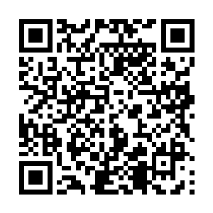 你说派出去围剿那个该死的下水道老鼠的贵族联军覆没二维码生成