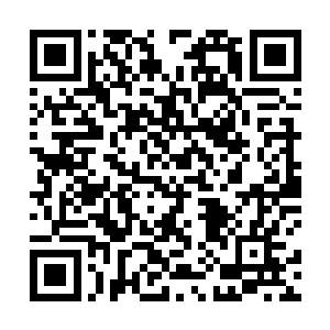 你说的可是在我们芝安市修建机场的那个东南航空公司二维码生成