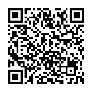 你说的神品符神丹难道就保证一年的时间就会有二维码生成