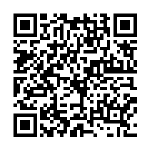 你说的这一切不都是为了给自己谋夺唐纳德的财产找理由吗二维码生成