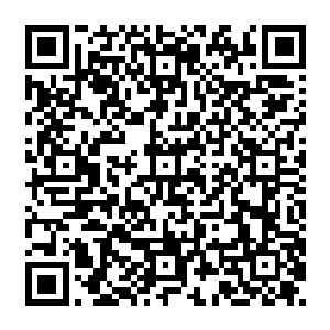 你说的那上万高手和佣兵我已经找了其他的B级佣兵团和一些高级佣兵团去对付他们了二维码生成