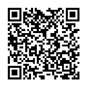 你说的魔头是不是就是那天在空中盘旋来去的黑气二维码生成
