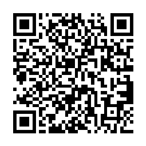 你说系里在劝说杨锐加入理查德的实验室是什么意思二维码生成