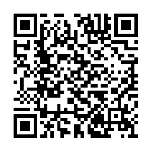 你说蒋桂忠会不会把蒋浩义重新弄回到了大山里二维码生成