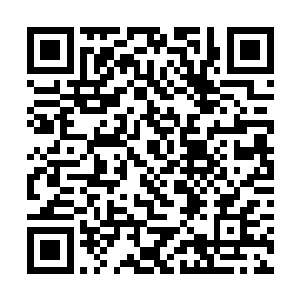 你说这个与海洋魔兽入侵陆地的古老说法有什么关系二维码生成