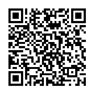 你说这个身体的主人给你托梦让你帮忙找到她的身体二维码生成