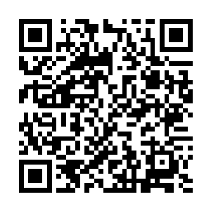 你说这件事要不要把问虚派徐掌门和紫霞派翁掌门拉进来二维码生成