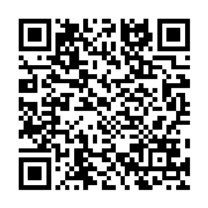 你说这拍卖魔兽尸体的人和拍卖魔核的人会不会是同一人二维码生成