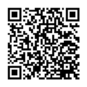 你说这时候赵纯良代表华南第一军官学校去捍卫了第一的荣耀二维码生成