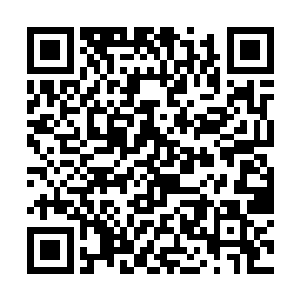 你说连欺负同学这点小事都不能持之以恒的每天完成二维码生成