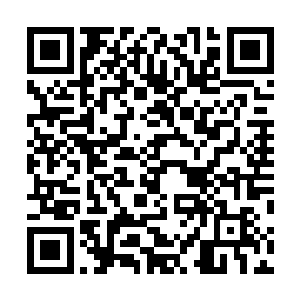 你赶紧选一个签约吧……我这几天快被那些经纪人逼疯了二维码生成