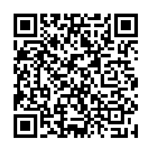 你跑去喂了人家的宠物未经主人的许可本来就不对了二维码生成