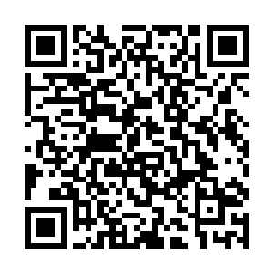 你跟我们公司包括冯万程在内的几个人通话的手机号二维码生成