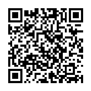 你跟着我这阵子就帮我注意一下周围不怀好意的人二维码生成