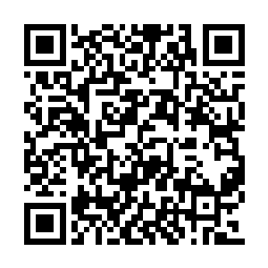 你身为驻守御园的总镇就更是近水楼台先得月了二维码生成