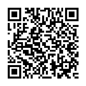 你车上这几块应该都是今天下午拍卖会上流拍的那些低价赌石吧二维码生成