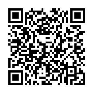 你还不把手上的祭品放下去找咱们村的张大夫来给看看二维码生成