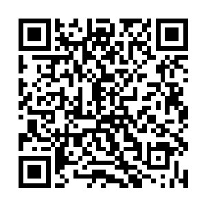 你还以为真是跟你那点一两百个雇佣兵之间寻求保护二维码生成