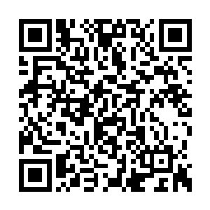 你还无法良好的抑止穿越空间障壁时导致的波动二维码生成