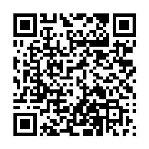 你还是……毕竟我们还要帮洛师兄寻时光流逝青春不老泉的二维码生成