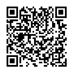 你还是考虑一下妈前两天给你讲过的王行长的公子二维码生成