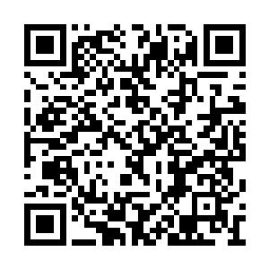 你还知道过来看我啊……你还知道来看我啊……二维码生成
