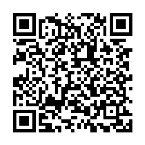 你这不省心的货……早知道今天说什么也不带你出府来二维码生成