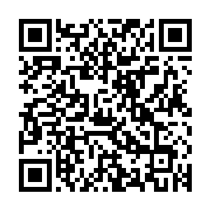 你这个孩子呀说点什么好小孩子对于呼吸系统还没有完全的长成二维码生成