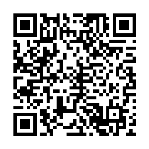 你这个小家伙能有我们家少爷几十分之一的天赋也足以自傲了二维码生成