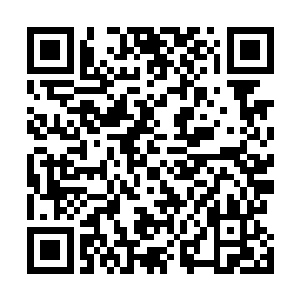 你这个小火龙才修炼到万象境界就开始要在我面前显摆吗二维码生成