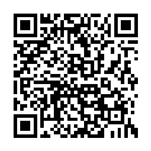 你这个样子怎么跟一个拐卖喜羊羊的灰太狼一样二维码生成