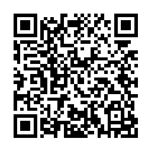 你这么跟着我出来难道既不害怕我会对你怎么样二维码生成