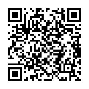 你这些东西的总价值加起来应该有五亿元刀左右吧二维码生成