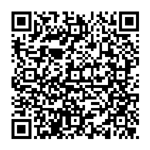 你这人怎的如此固执难不成还打算跟我们一辈子亦或者对两个姑娘有什么别的想法二维码生成