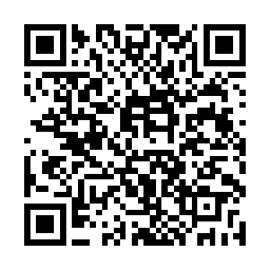 你这头鹰背弃旧主后又背弃新主再次重归旧主的怀抱二维码生成