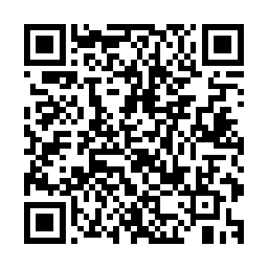 你这小子可别再借着比武的机会把我老燕的梦情人给勾引去了二维码生成
