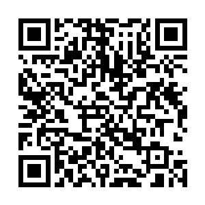 你这就乐得找不着北了……是不是也高兴得太早了一点儿吧二维码生成