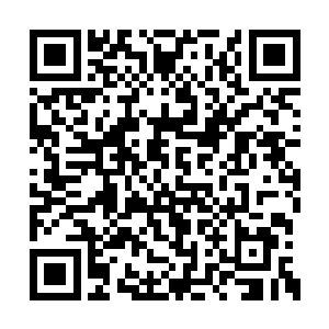 你这已经是打破了玄学界境界晋升最快的记录了二维码生成